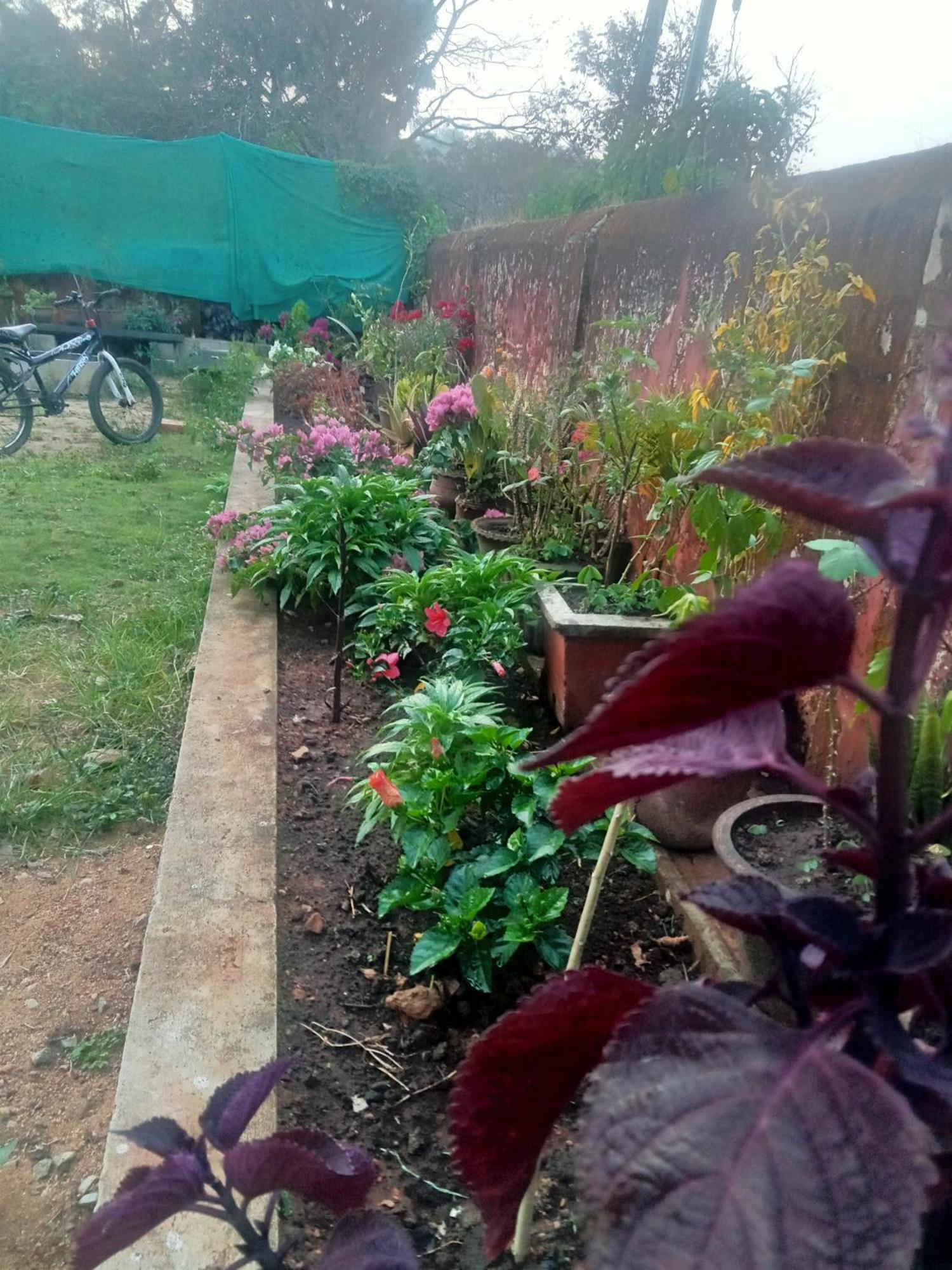 Eshwarkrupa Homestay Madikeri Luaran gambar